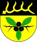 Coat of arms of Kröppelshagen-Fahrendorf