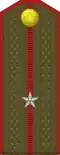 Junior Lieutenant