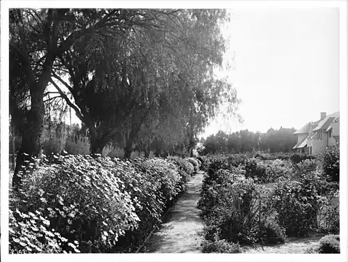 Gardens, 1890s