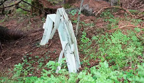 A decaying tree guard in the Jizera Mountains, Czech Republic