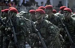 Paratroopers at the 2015 Independence Day parade