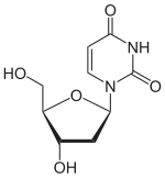 Skeletal formula of deoxyuridine