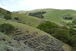 Diablo Range in the park