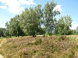 Nature reserve, Söhre