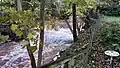 Digeddi brook viewed from the base of the ditch