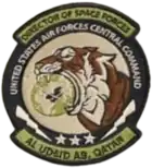 Director of Space Forces, United States Air Forces Central Command emblem (until 2022)