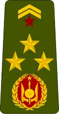 Général de brigade (Djiboutian Army)