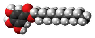 Space-filling model of the dodecyl gallate molecule