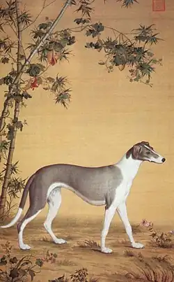 One of a series in Ten Prized Dogs, painted by the Lang Shining