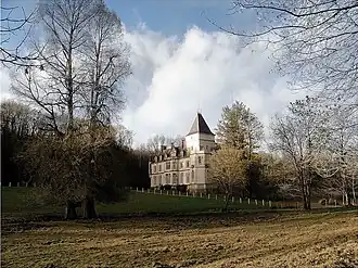 The chateau in Domecy-sur-le-Vault (2009)