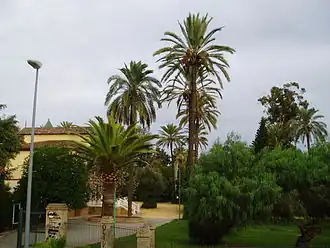 View of a park in Dos Hermanas, with palm trees and enclosed by a fence