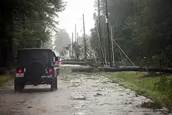 Photograph of downed trees and power lines along a roadside