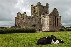 Dunbrody Abbey lies 1&nbsp;km west of Campile