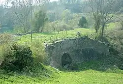 Three-quarter view of grassy bridge, surrounded by small trees and shrubs