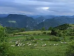 View from Džankići