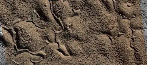 Close view of upper plains unit showing hollows--where ice left the ground. Picture is about 1 Km across. This is part of an image named HiRISE picture of the day for October 21, 2024.