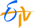 Logo in 1995