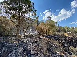 Burn scars from the East Canyon Fire on June 18, 2020