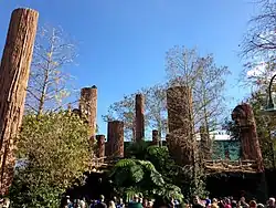 Exterior Endor forest village set in Disney's Hollywood Studios