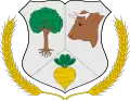 Coat of arms of Paillaco