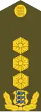 Kindralleitnant[19] (Estonian Land Forces)