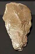 Stone tool - 300,000/250,000 BC