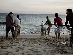 Fishermen in Sesimbra