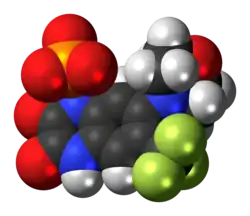 Space-filling model of fanapanel as an anion
