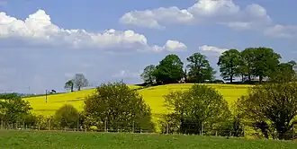 Farmland near Ashwood, Staffordshire