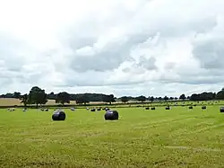 Fields near Clock House Lane