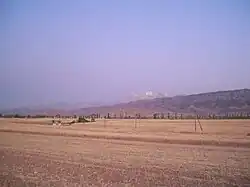Grain fields in the eastern part of Isfana