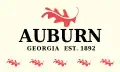 Flag of Auburn, Georgia
