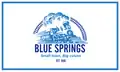 Flag of Blue Springs, Mississippi
