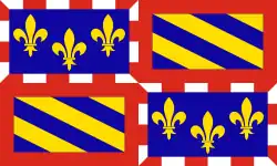 Flag of Burgundy