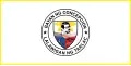 Flag of Concepcion