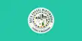 Flag of Datu Anggal Midtimbang