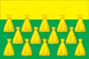 Flag of Gdov
