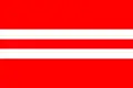 Flag of Hrušovany nad Jevišovkou