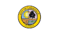 Flag of Lawndale, California