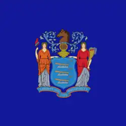 Digital reconstruction of the unofficial state flag flown in 1885[10]