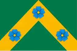 Flag of Pudozhsky District