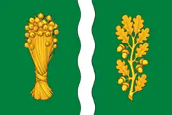 Flag of Ulyanovsky District