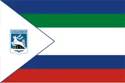 Flag of Vorkuta