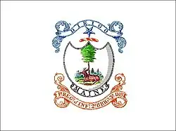 Maine Militia flag (1822–1861)