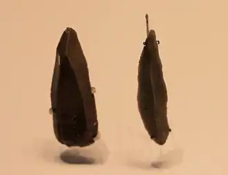 Flint stone points, Boqer Tahtit Cave (Ein Avdat) and el‑Wad Cave, 50000 – 28000 BP (Israel Museum)