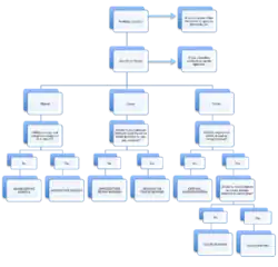 Flowchart for Assessment of Visual Agnosias.