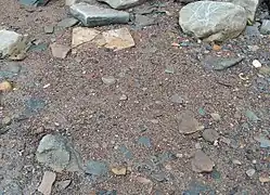 Floaters on beach in Sedbury, Gloucestershire