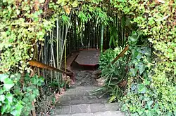 Path in botanical garden to sitting area