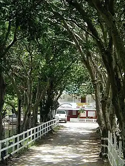 Gaby's restaurant in Yauco