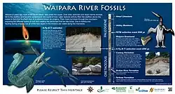 Geology and fossils Waipara River